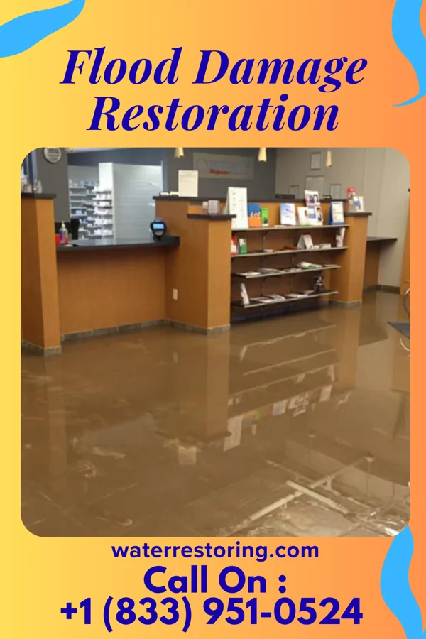 Flood Damage Restoration in Magnolia, IL