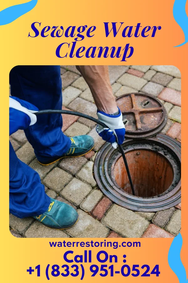 Sewage Water Cleanup in Magnolia, IL